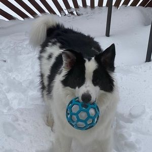 Meet your Posher, Rebekah